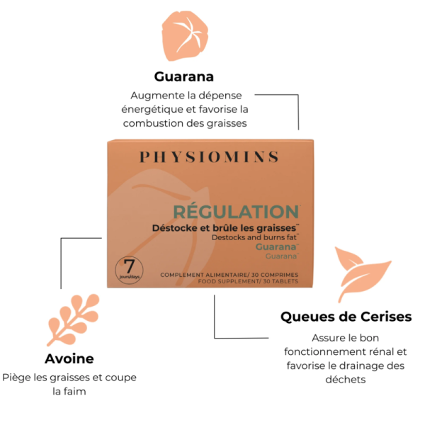 Régulation – Image 2